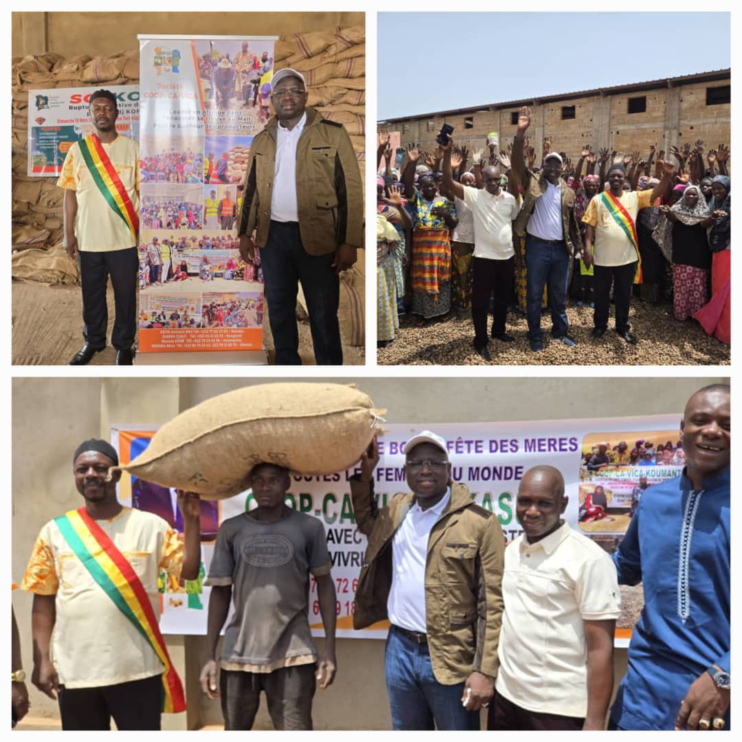 La COOP-CA-VICA : un acteur clé pour la valorisation de la noix de cajou malienne sur les marchés internationaux.